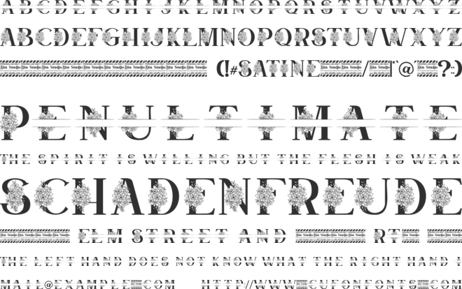 Satine Personal Use font preview