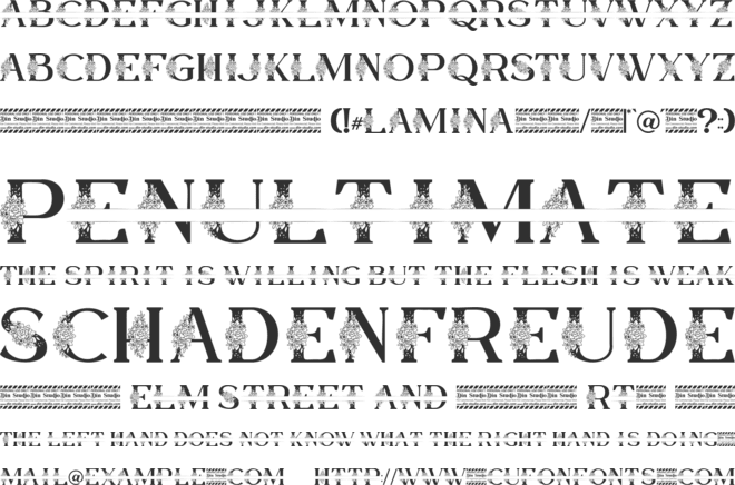 Lamina Personal Use font preview