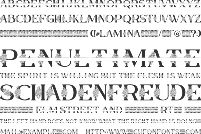 Lamina Personal Use font preview