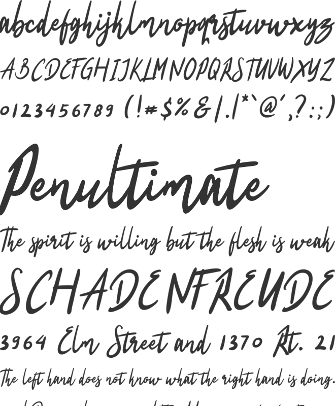 Stay Shiny font preview