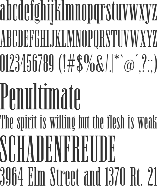 Newston font preview