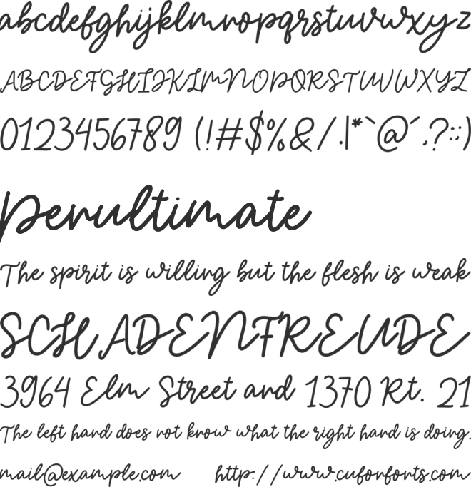 Magical_Shiny_Script font preview