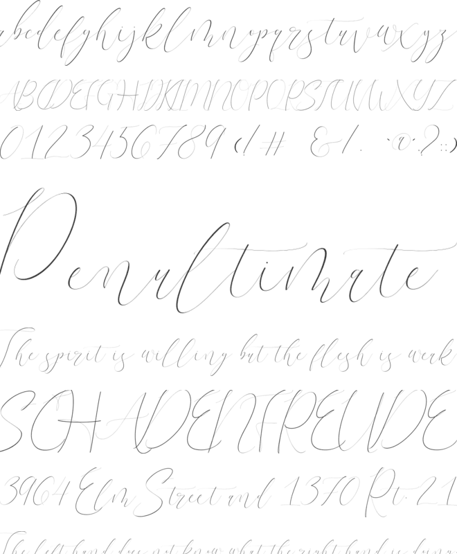 Handwritten Fonts Brush Free Typography Fonts This Brand New Bundle From Designcuts Brings You A Wide Range Of Quality Fonts From Sans Serif To Serif Brush Calligraphy Display And Many