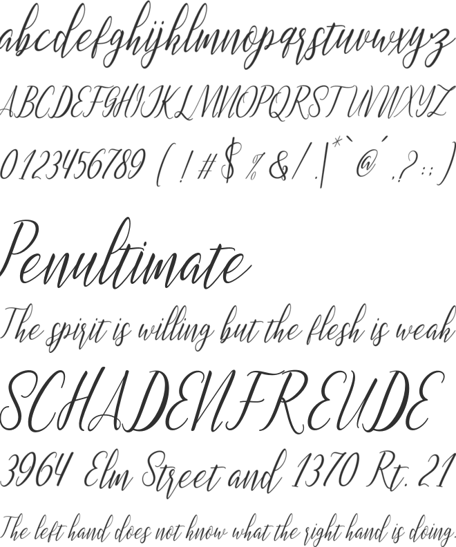 Montalia Script font preview