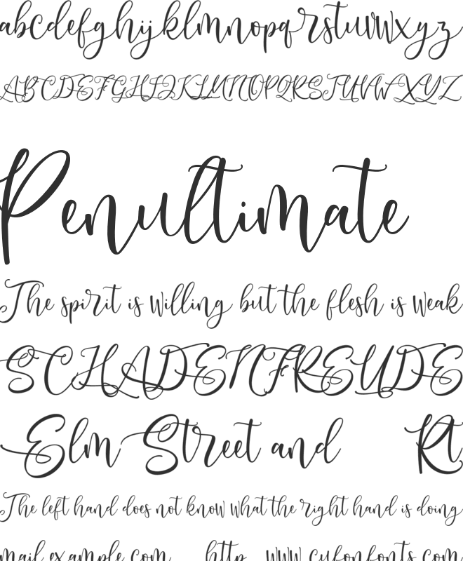 Andriani Script font preview