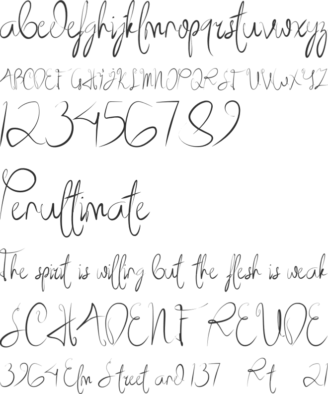 Medieval Times font preview