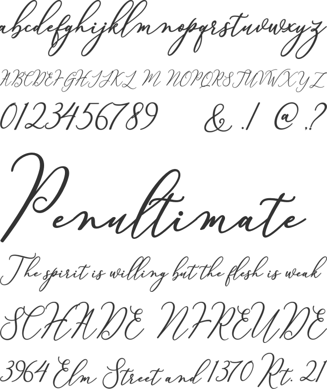 Courtney font preview