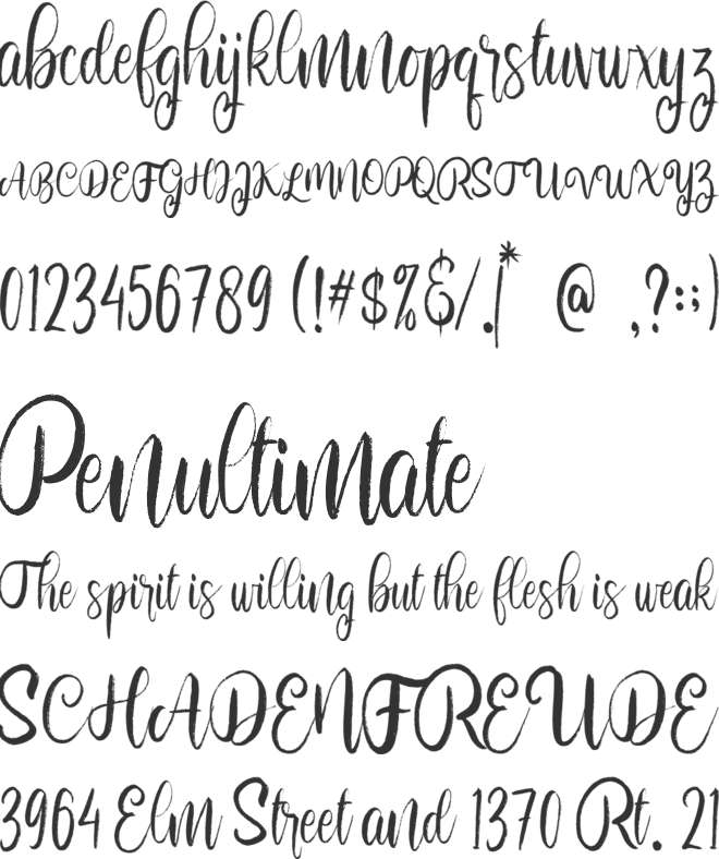 Bolehdong font preview