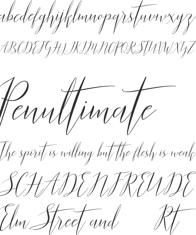 Parlinttons Script font preview