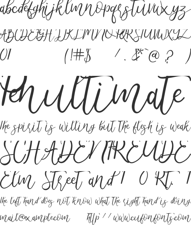 Metteora font preview