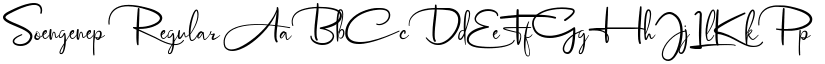 Soengenep Regular font