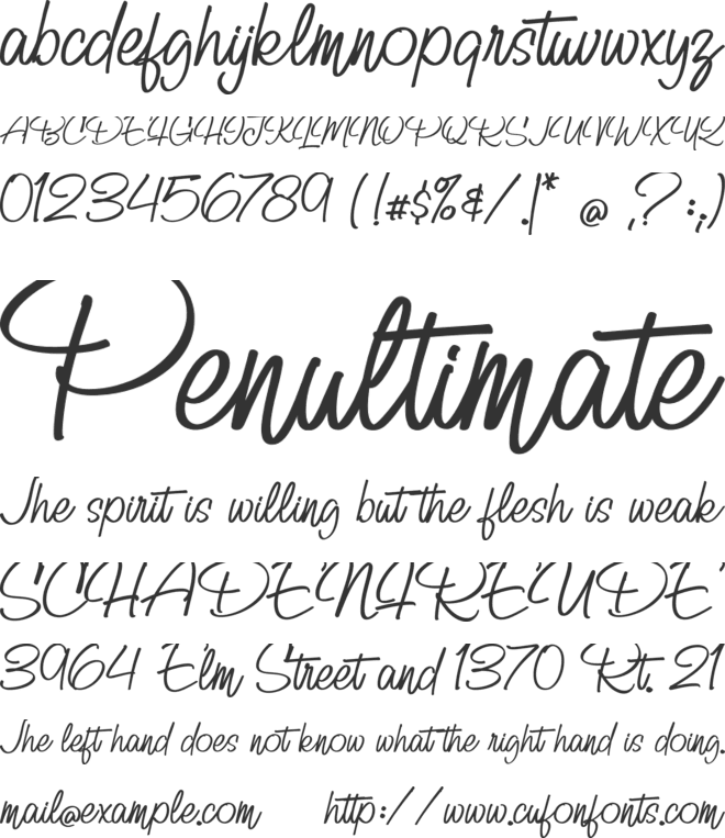 Billy Signature font preview