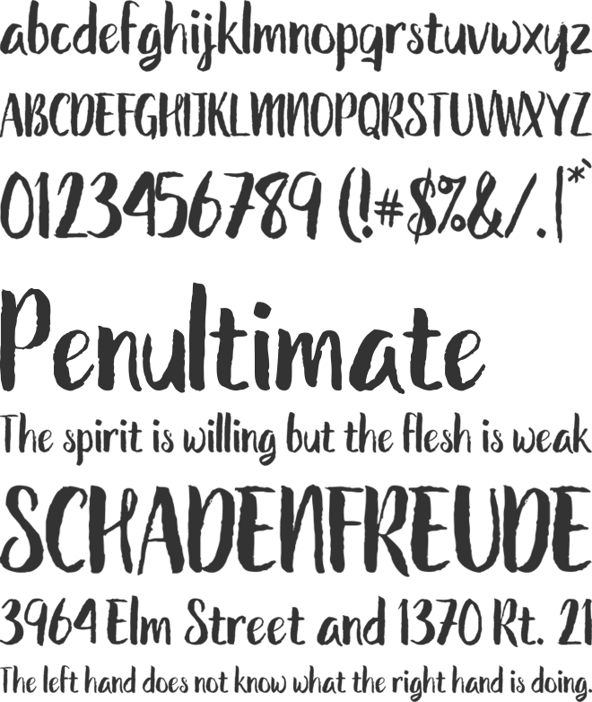 The Shutterain font preview