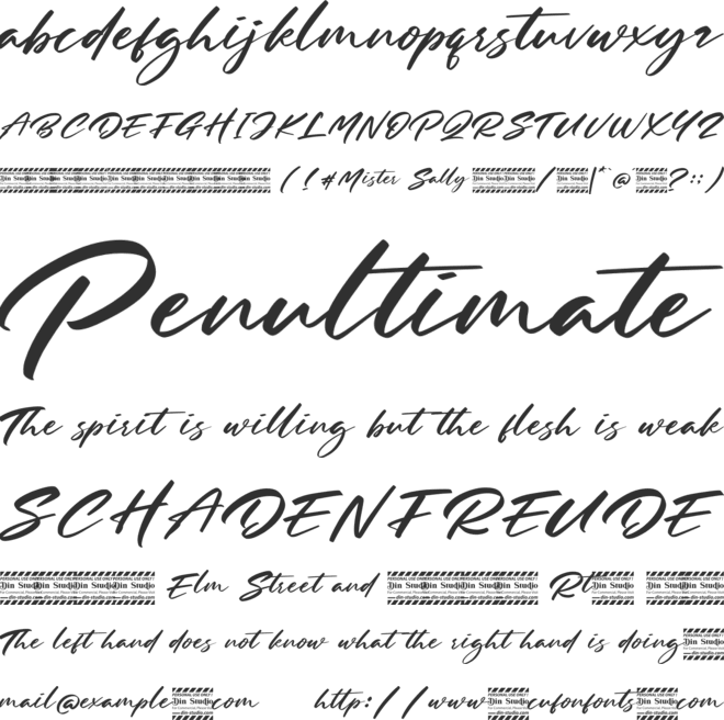Mister sally Personal Use font preview