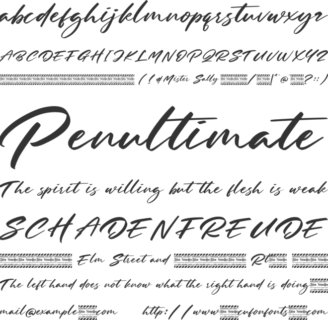 Mister sally Personal Use font preview