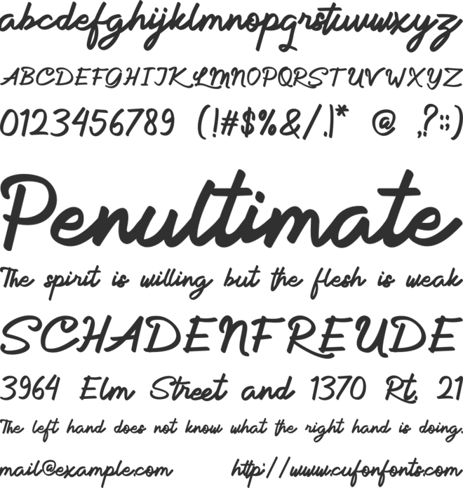 Allina font preview