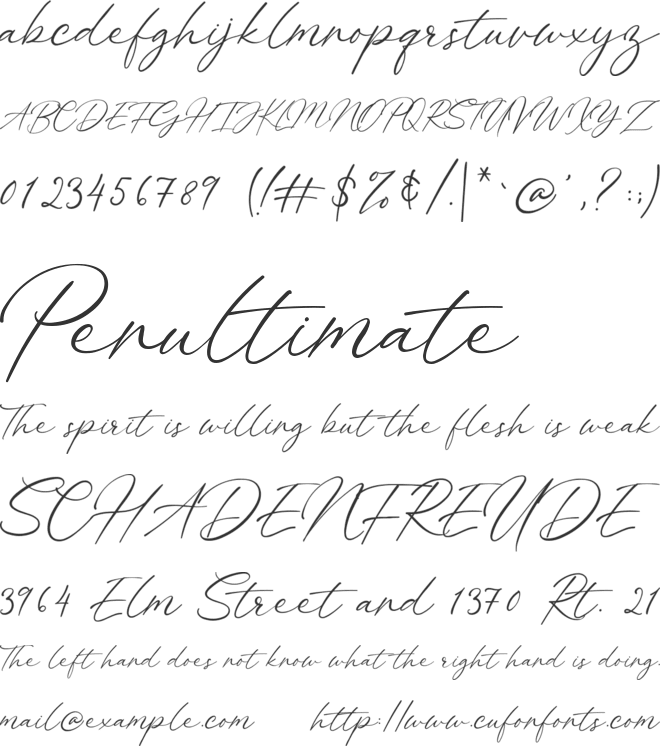 Billie Bonnie font preview