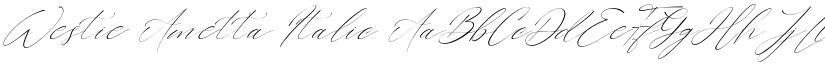 Westie Ametta Italic font