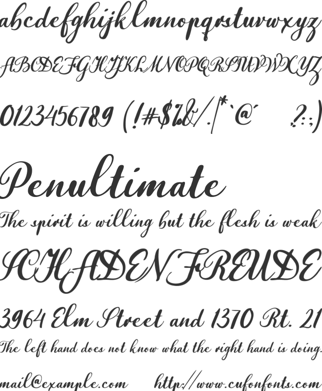 Valentina Walker font preview