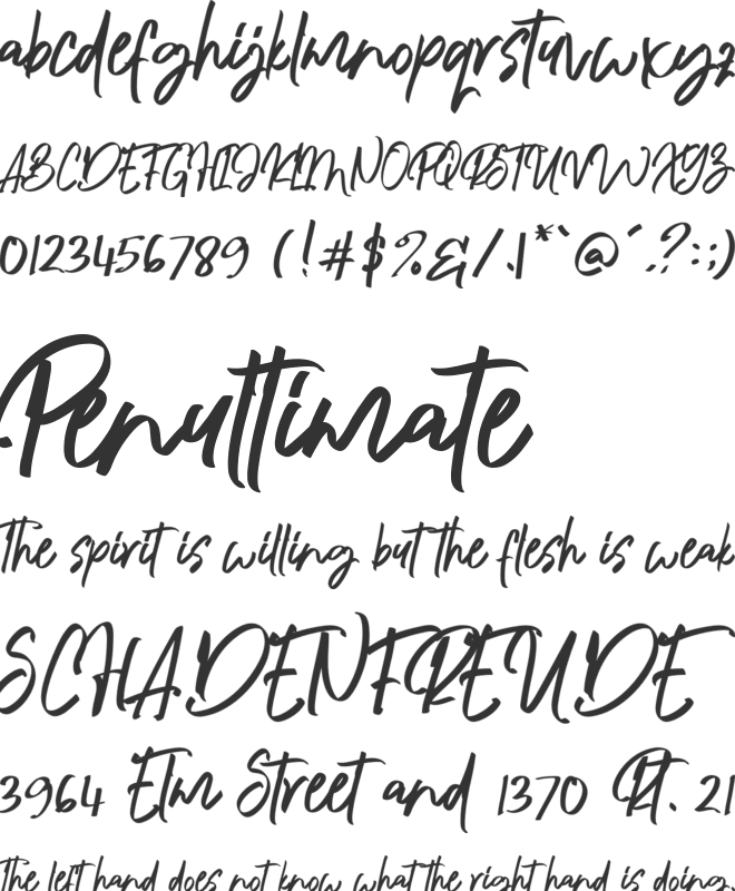 Algenta Font font preview