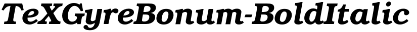 TeXGyreBonum-BoldItalic font