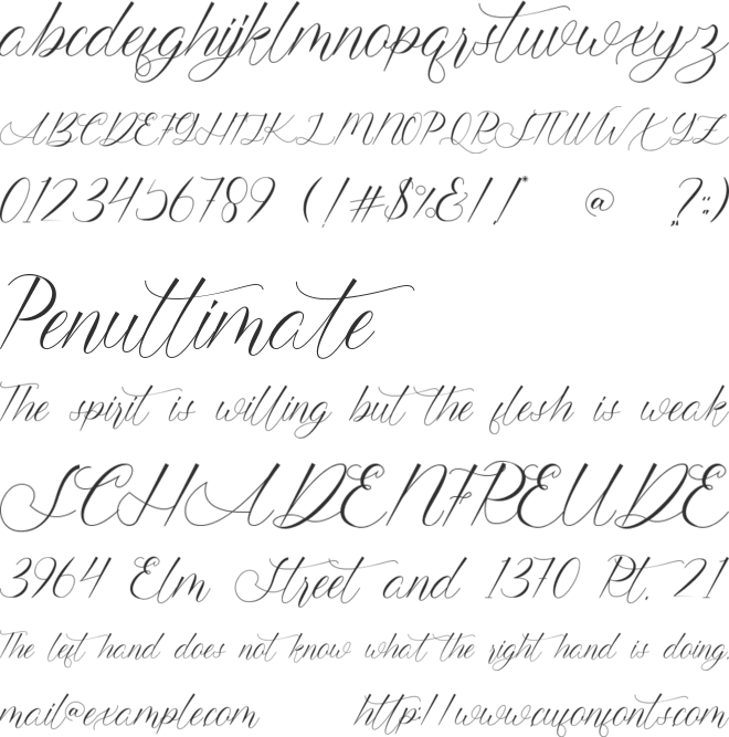 starlight - free for personal u font preview