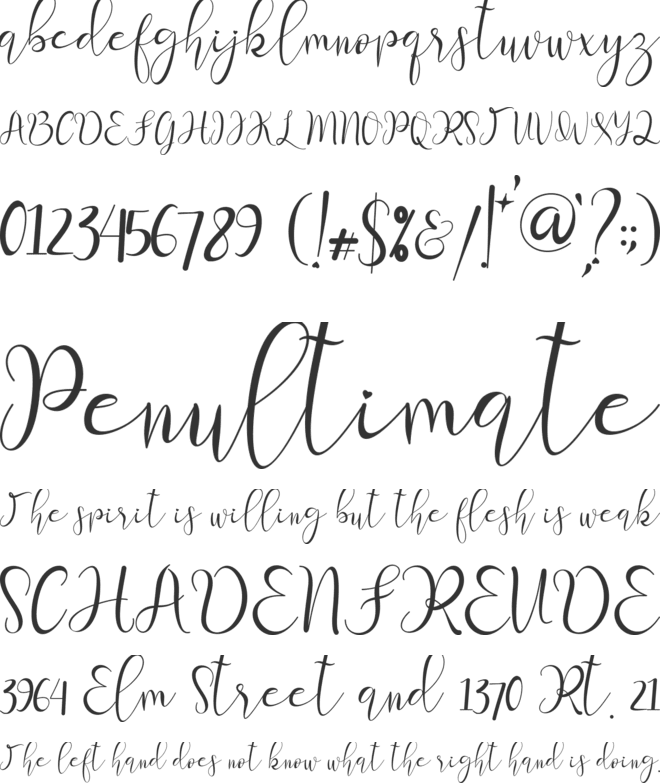 sherllia font preview