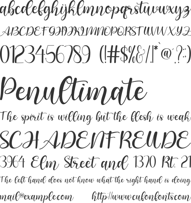amala shazia font preview