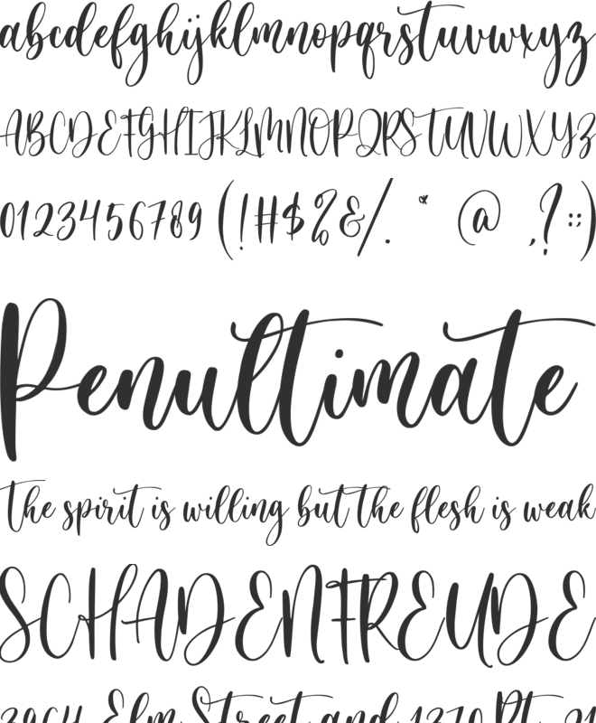 Holiday Party font preview