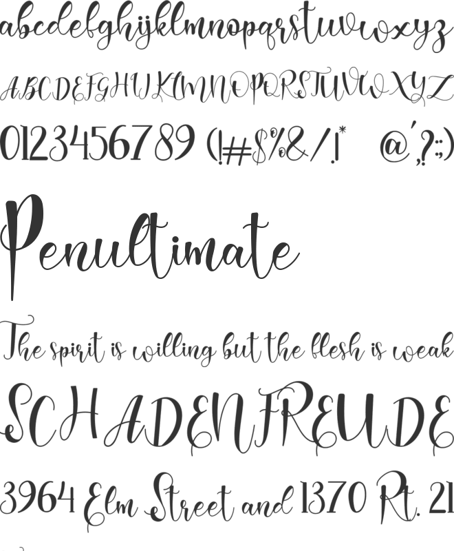 evelyne font preview