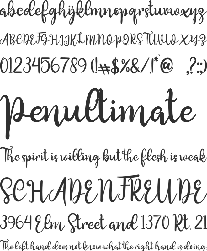 chassandra font preview