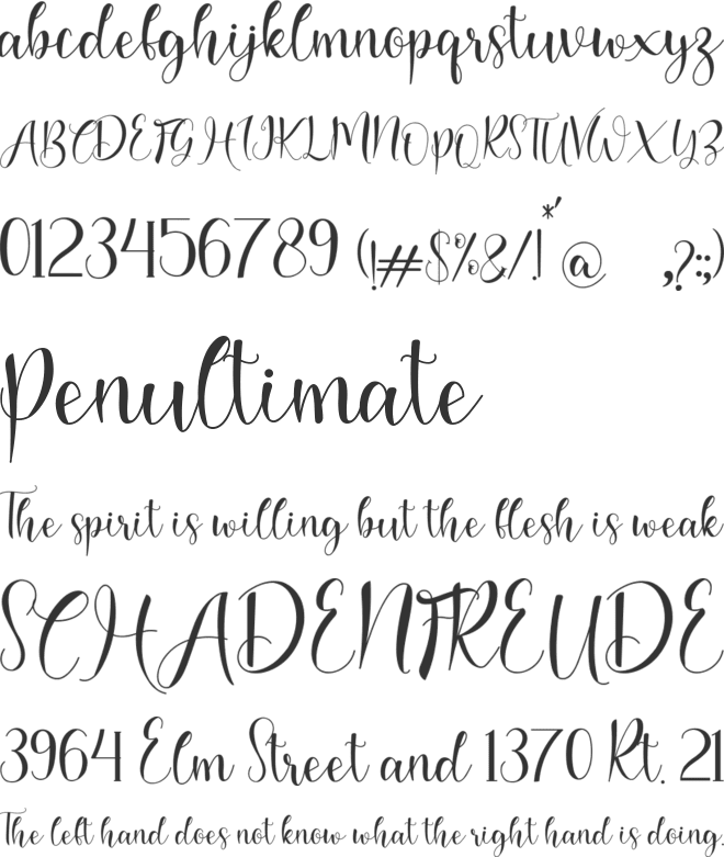 shadella font preview