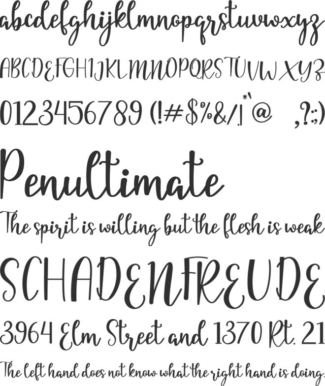 yellia font preview