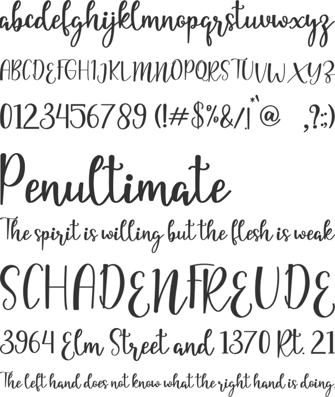yellia font preview