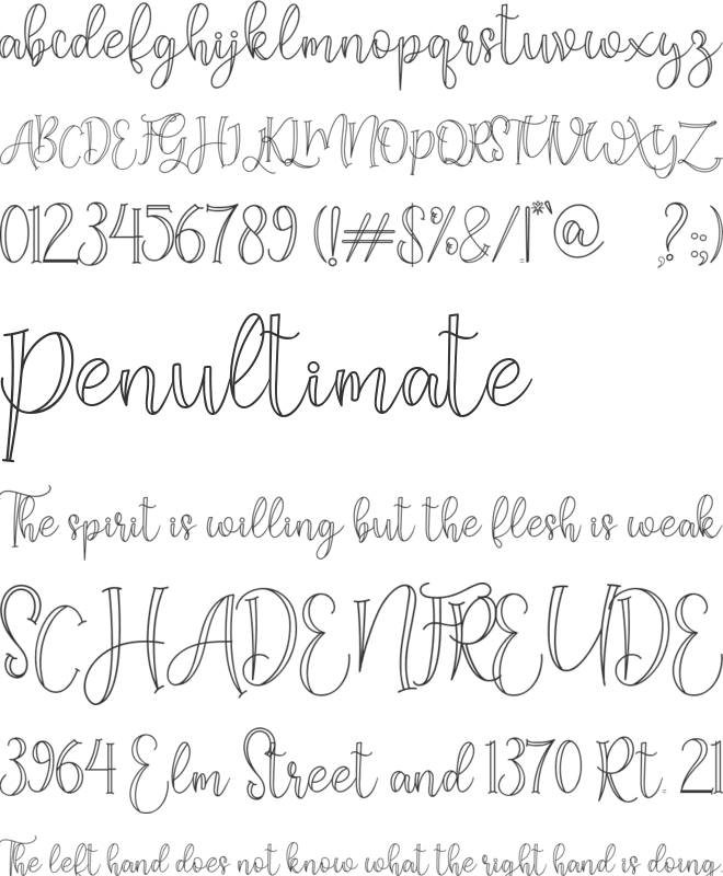 shadila font preview