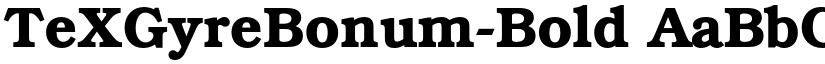 TeXGyreBonum-Bold font