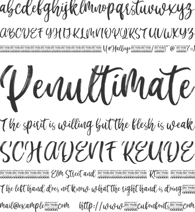 Halleyo Personal Use font preview