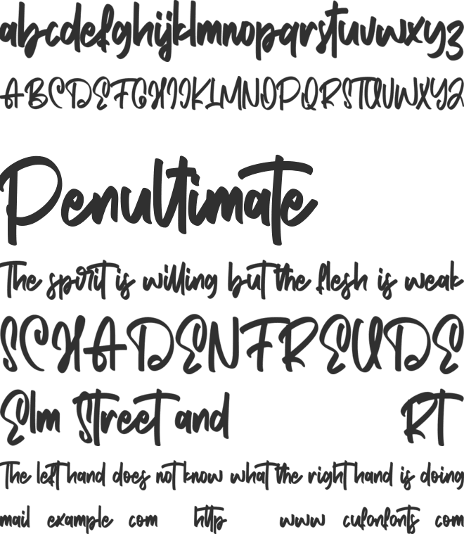 Backers Free font preview