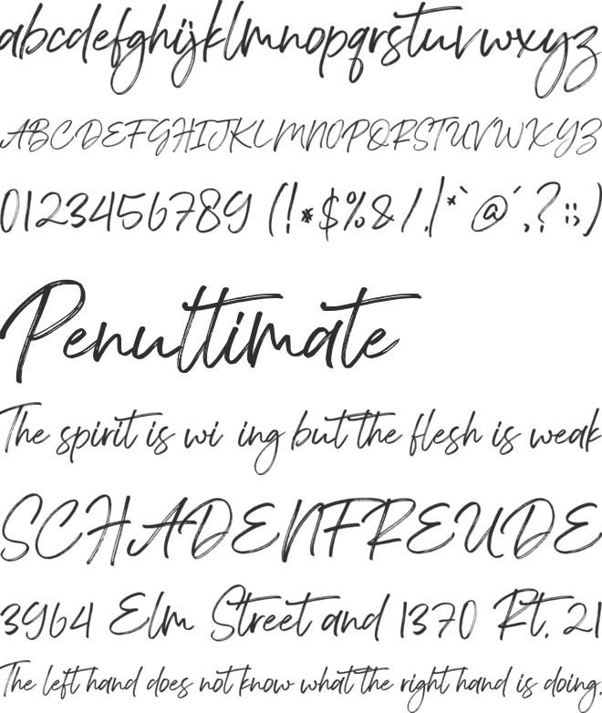Bedontes font preview