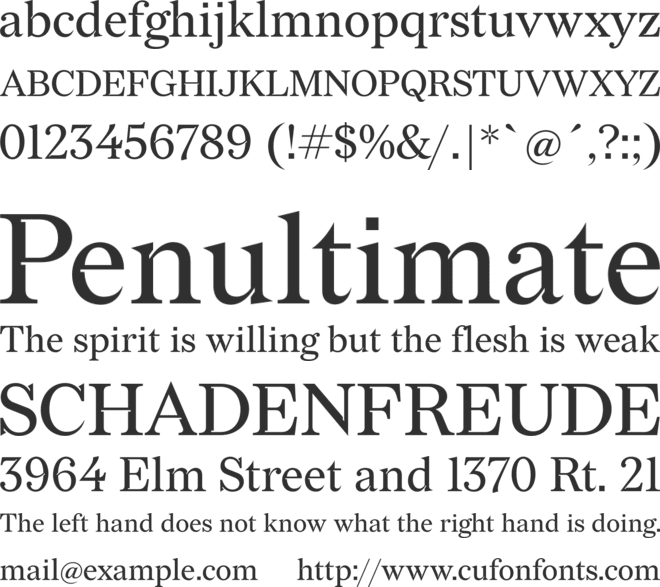 Redaction font preview