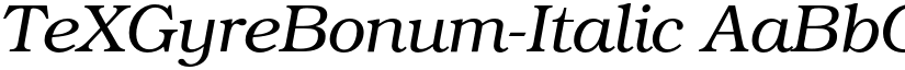 TeXGyreBonum-Italic font