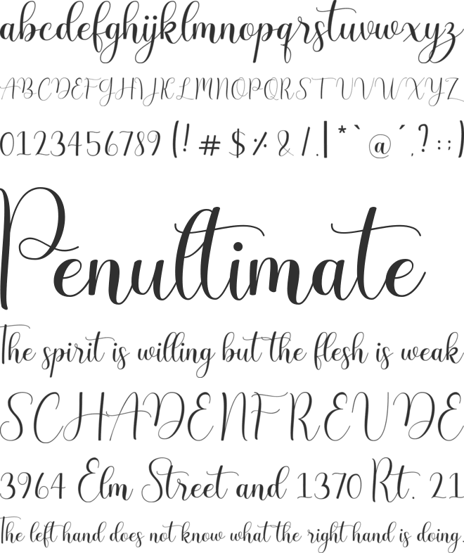 Endless Love font preview