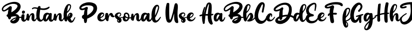 Bintank Personal Use font
