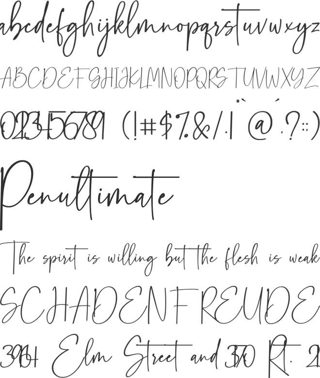bluster font preview