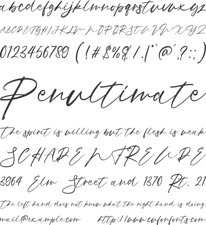 Notograph font preview