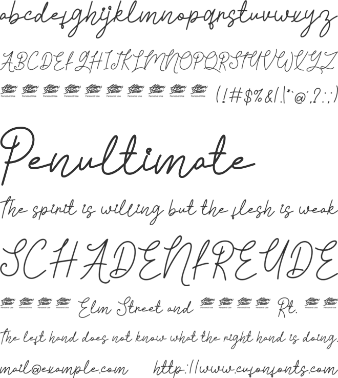 Tyloos Signature - Personal Use font preview