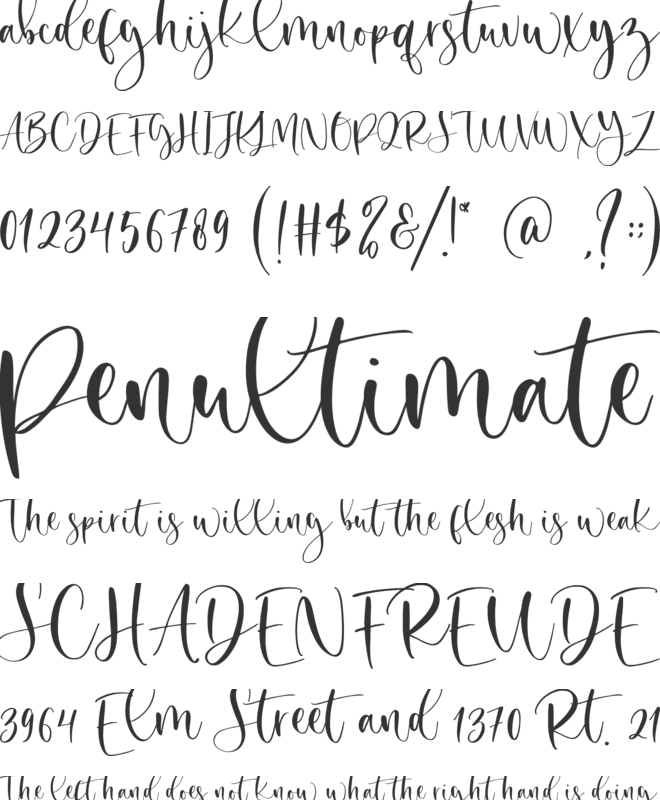Secret Winter font preview