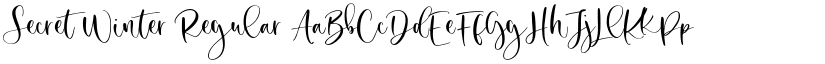 Secret Winter Regular font