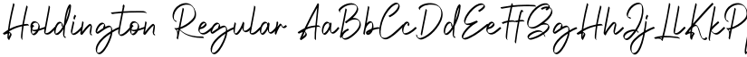 Holdington Regular font