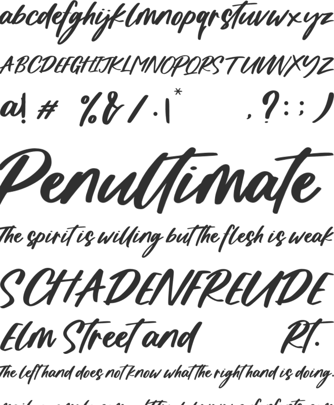 Chollatte font preview